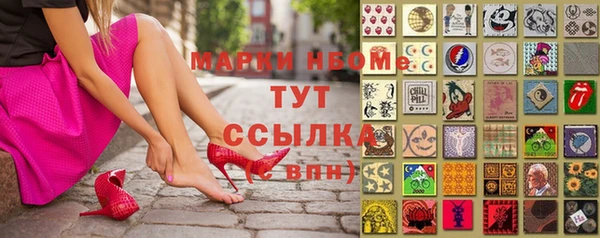 прущие грибы Нея