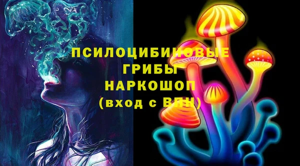 прущие грибы Нея
