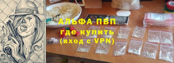 прущие грибы Нея